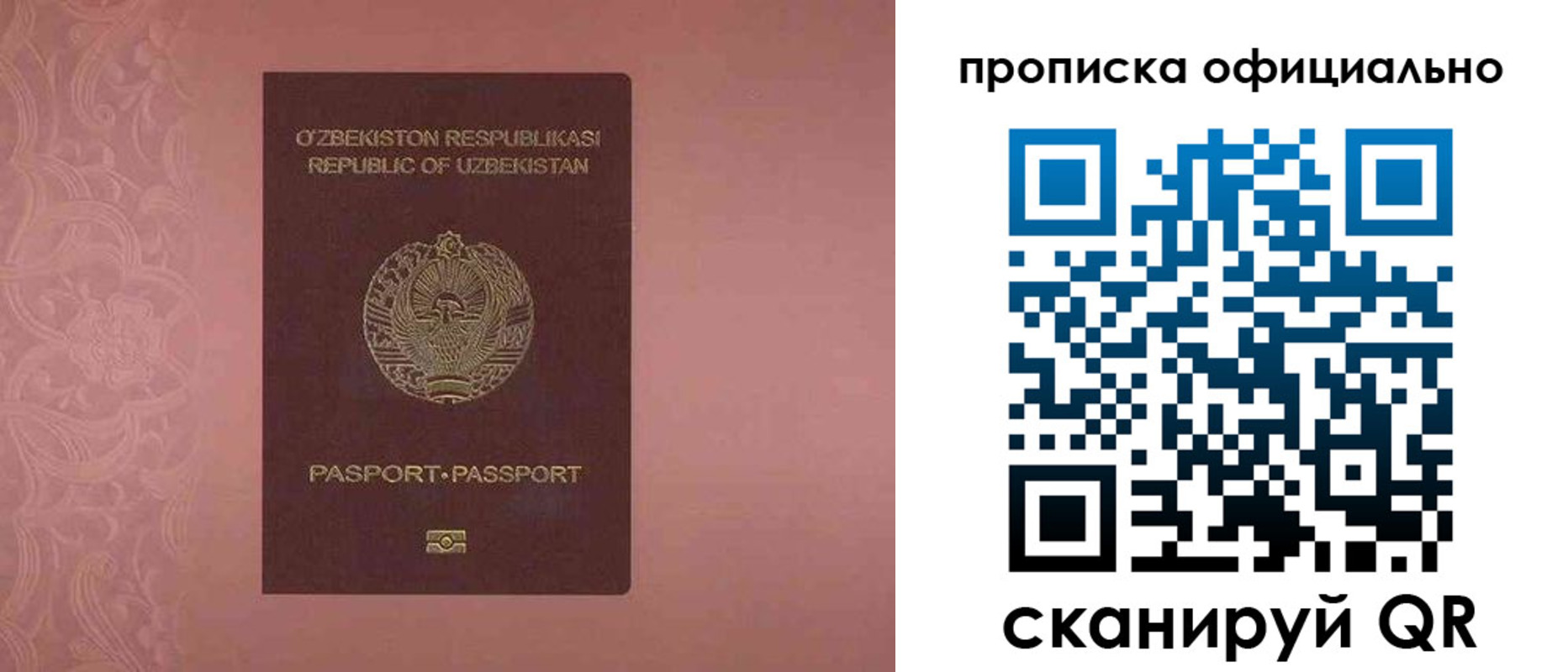 прописка гарантия в Гаврилов-Яме